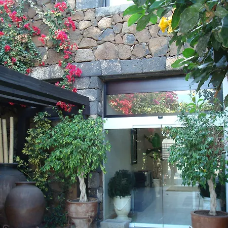 Vik - Boutique (adults Only) Арресифе